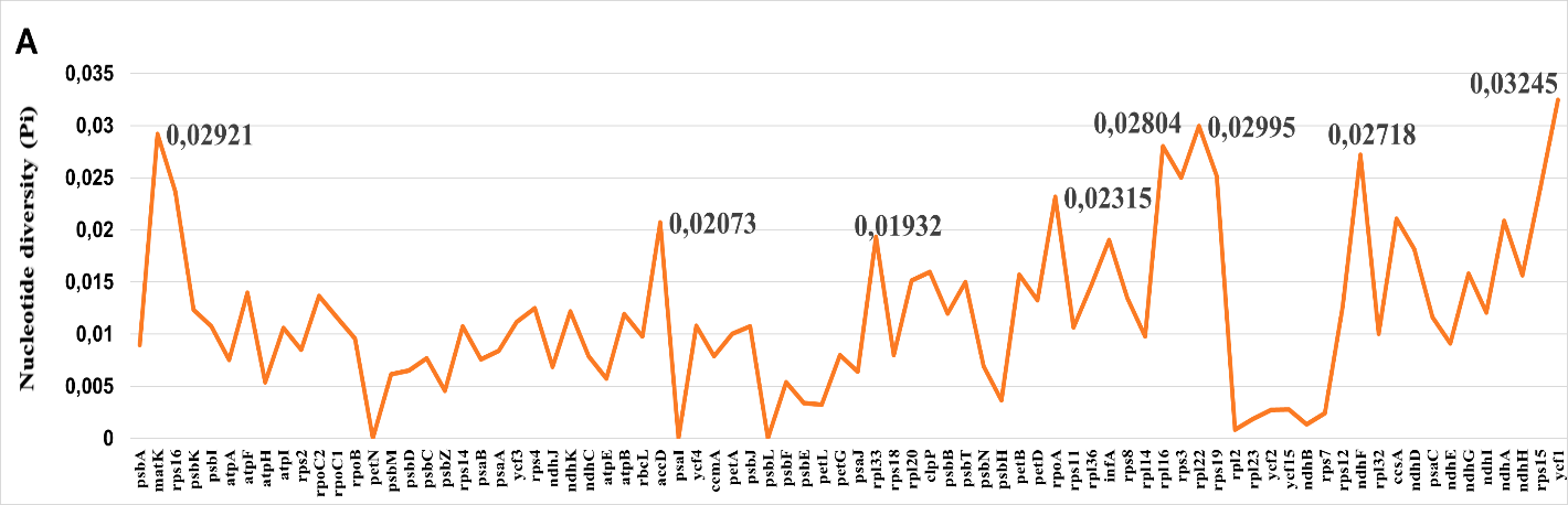 Nucleotide diversity plot