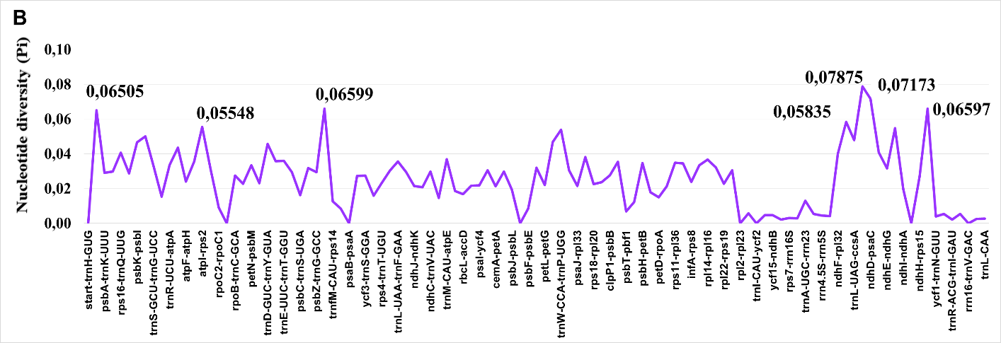 Nucleotide diversity plot