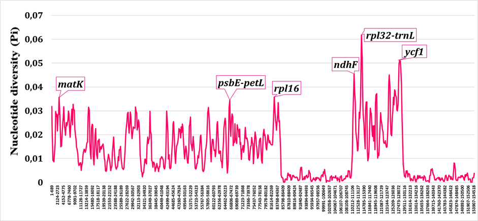 Nucleotide diversity plot