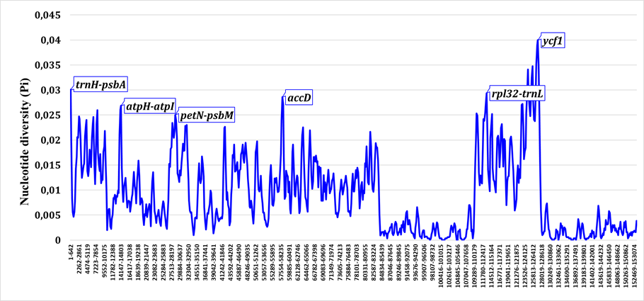 Nucleotide diversity plot
