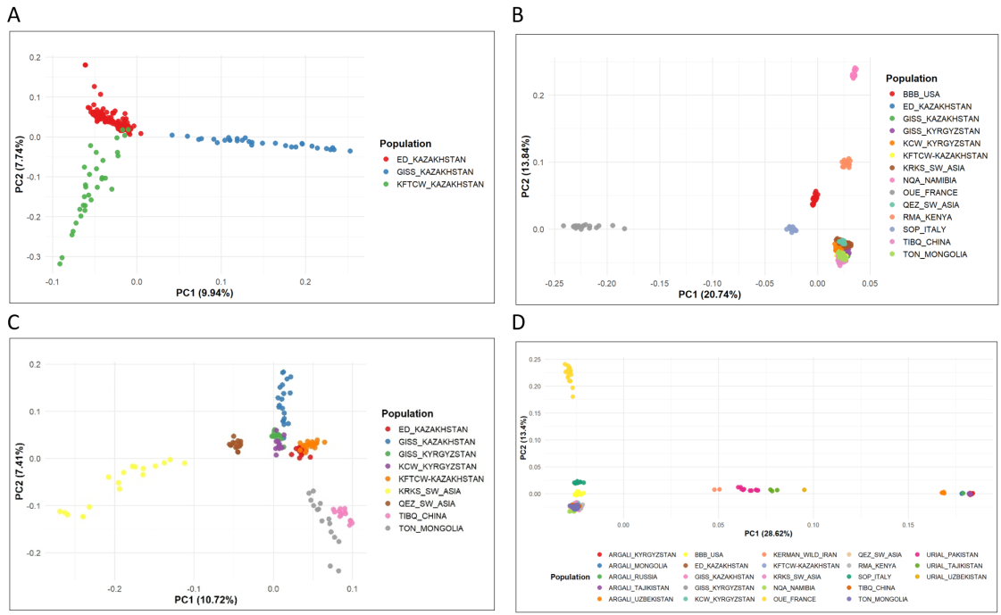 Manhattan plots of GWAS for body conformation traits