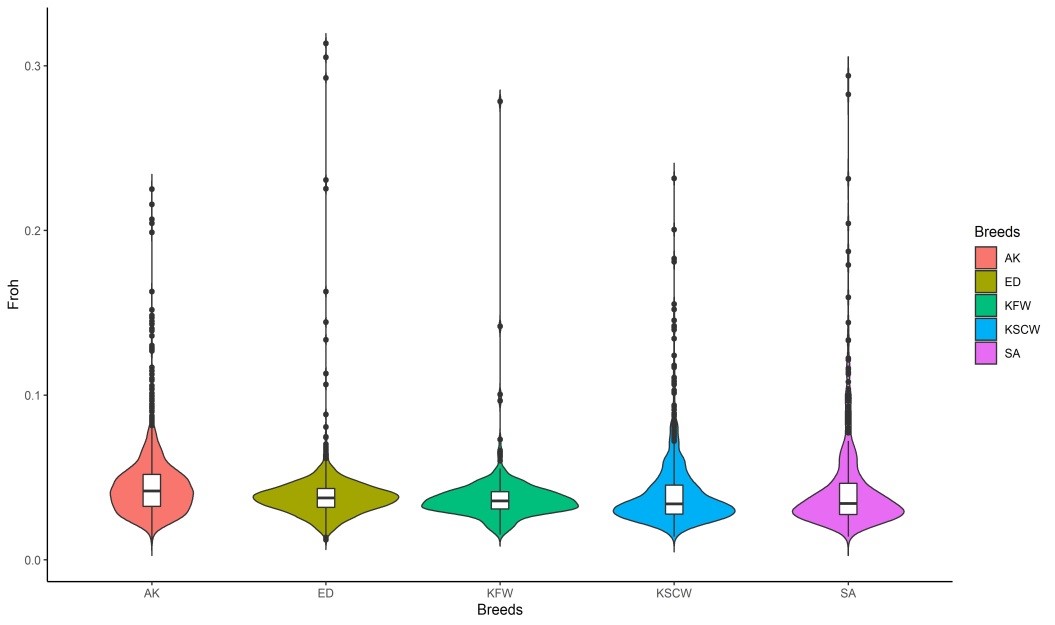 Nucleotide diversity plot