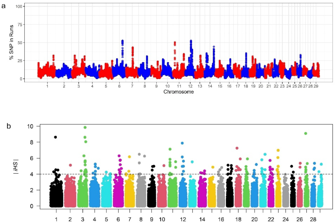 Nucleotide diversity plot