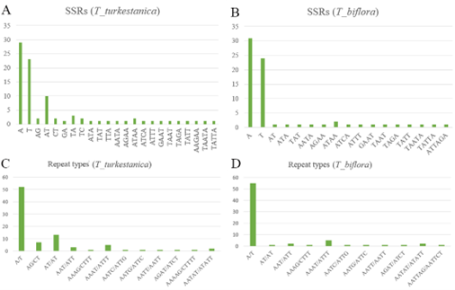 Manhattan plots of GWAS for body conformation traits