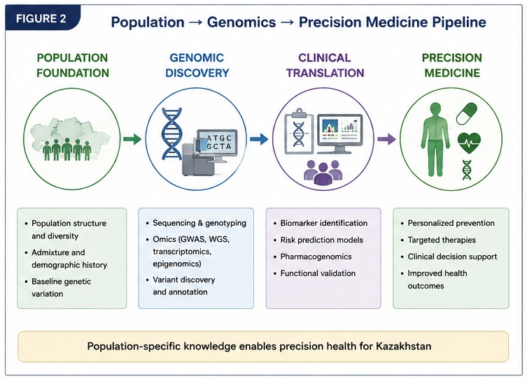 Figure 2. Population to genomics to precision medicine pipeline