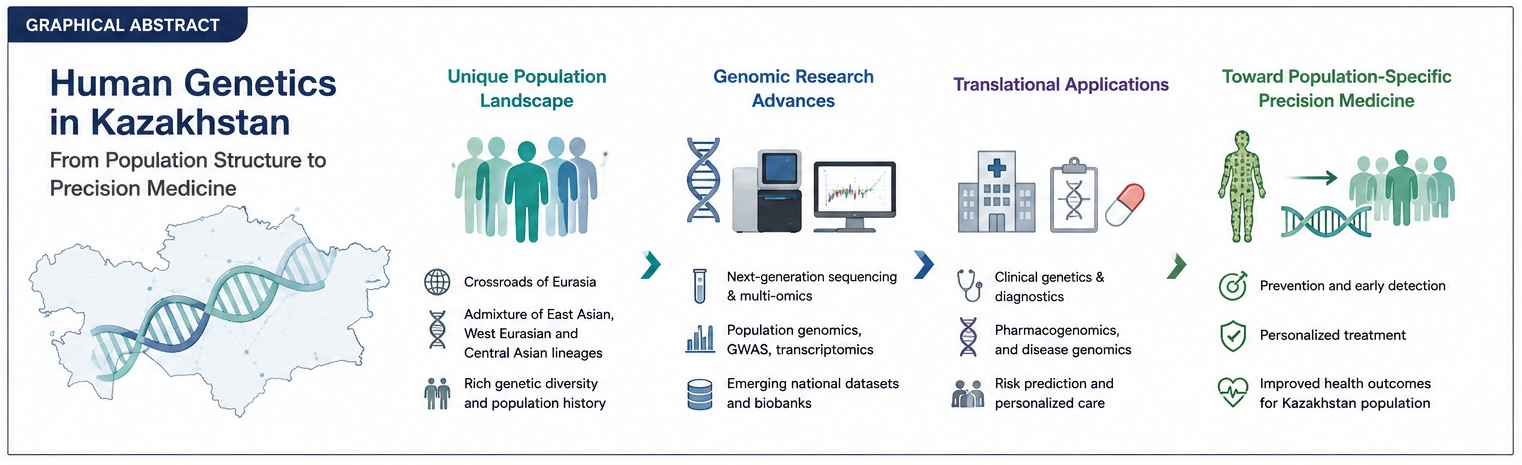 Graphical abstract: Human Genetics in Kazakhstan — from population structure to precision medicine