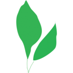 Institute of Plant Biology and Biotechnology